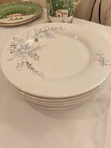 Pfaltzgraff Winter Frost Dinner Plate 11 1/8" Blue - Image 1