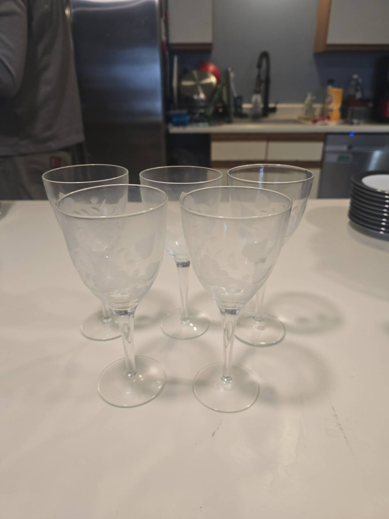 Vintage Etched Floral Wine Glasses Set of 5