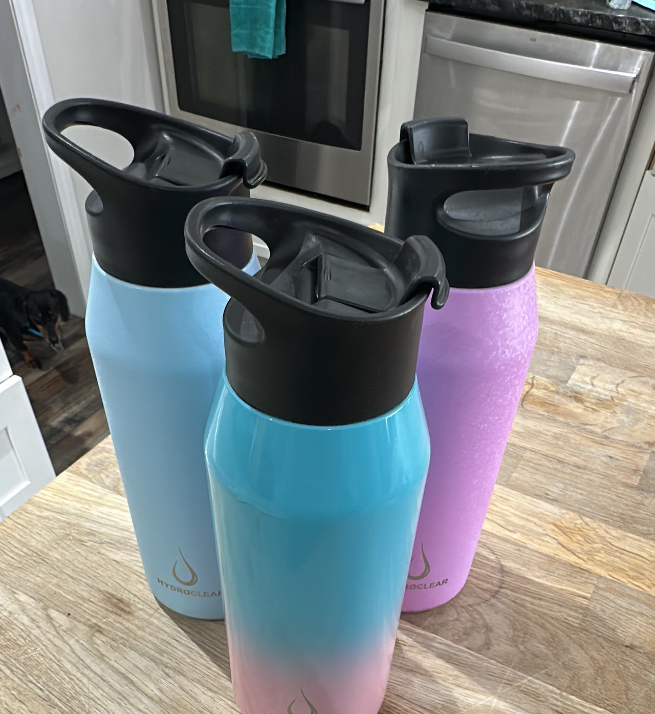 HydroClear 32oz Stainless Steel Insulated Water Bottles - set of 3