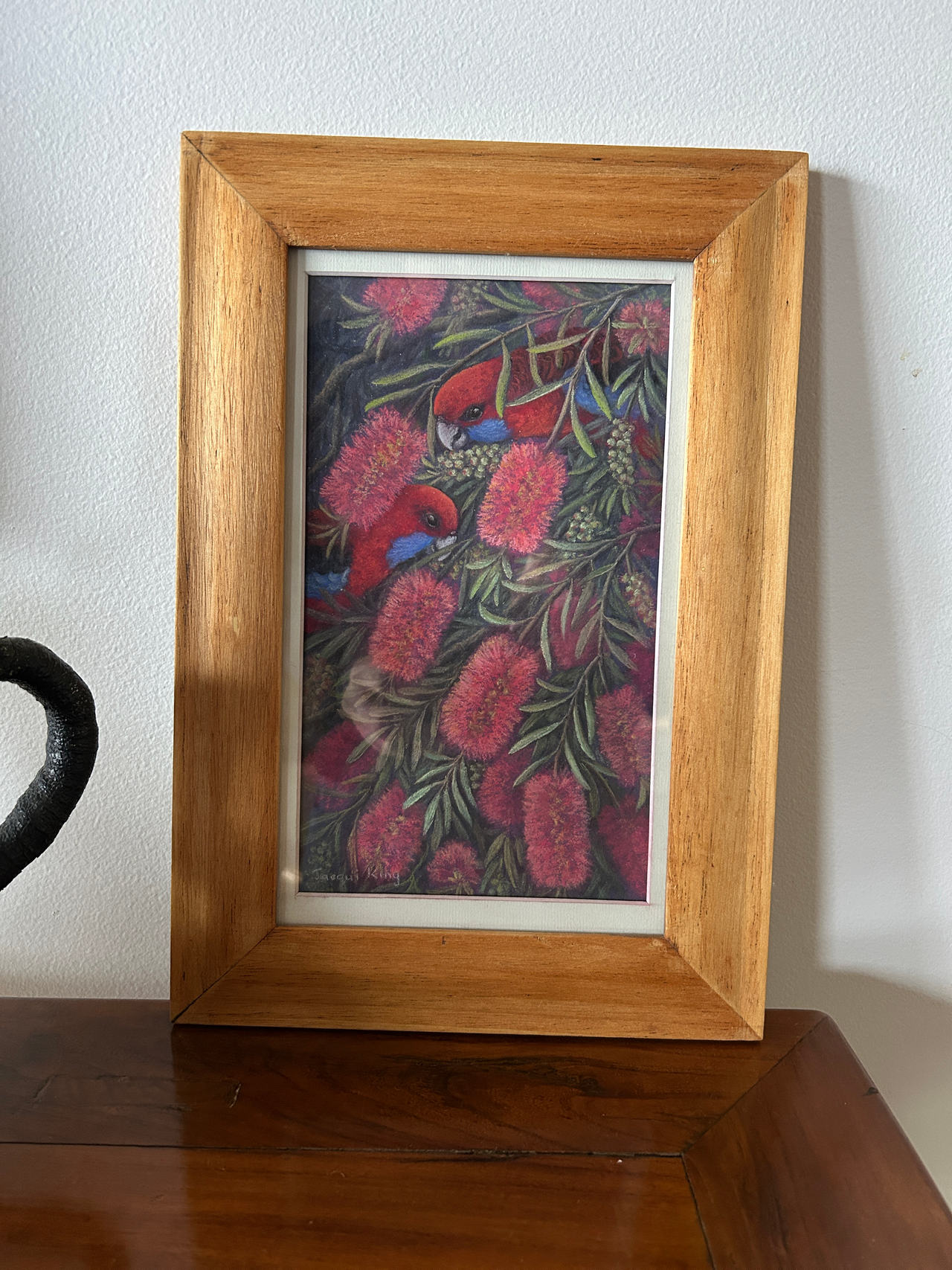 Framed Australian Native Bird and Bottlebrush Art Print