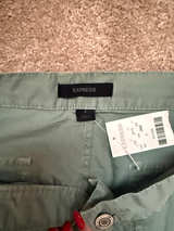 Express Sage Green Chino Pants Size 8 - Image 1