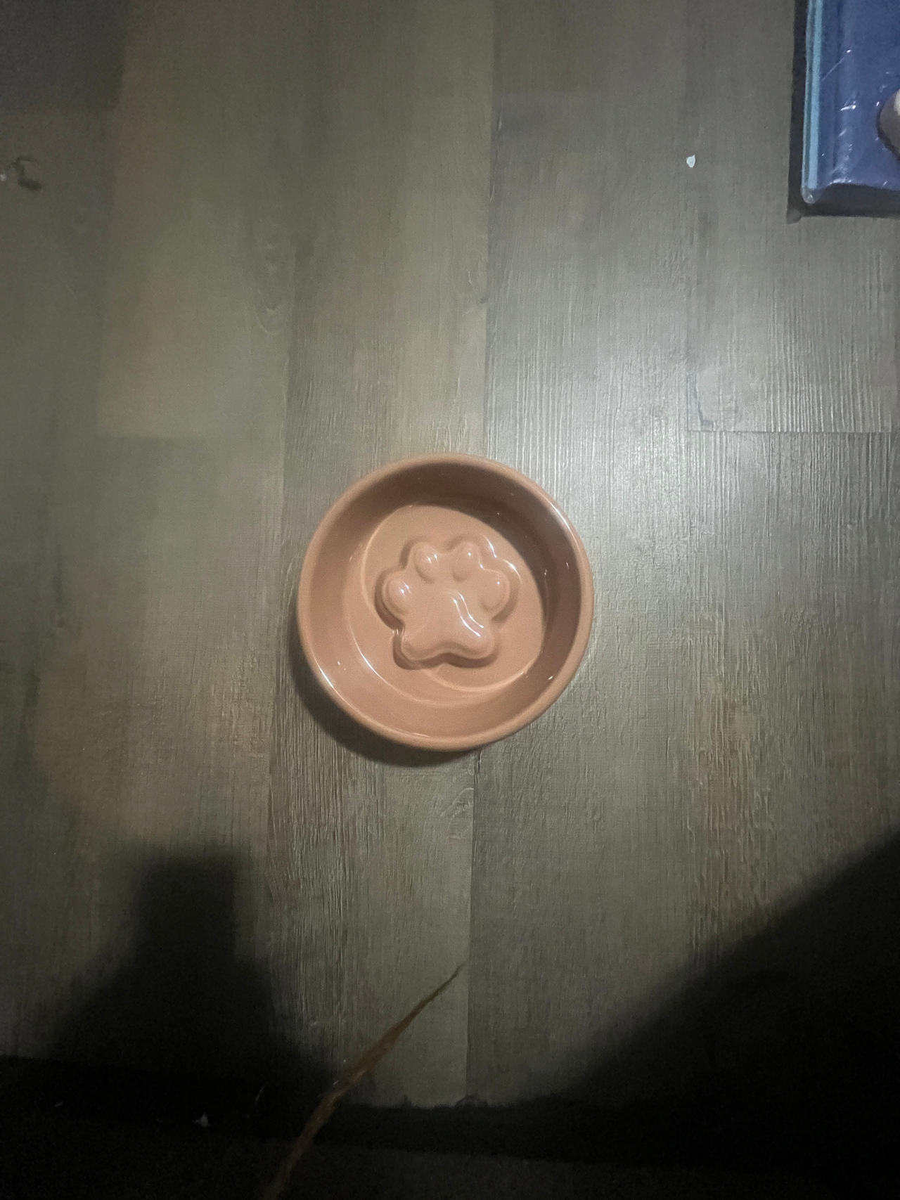 Slow Feeder Dog Bowl