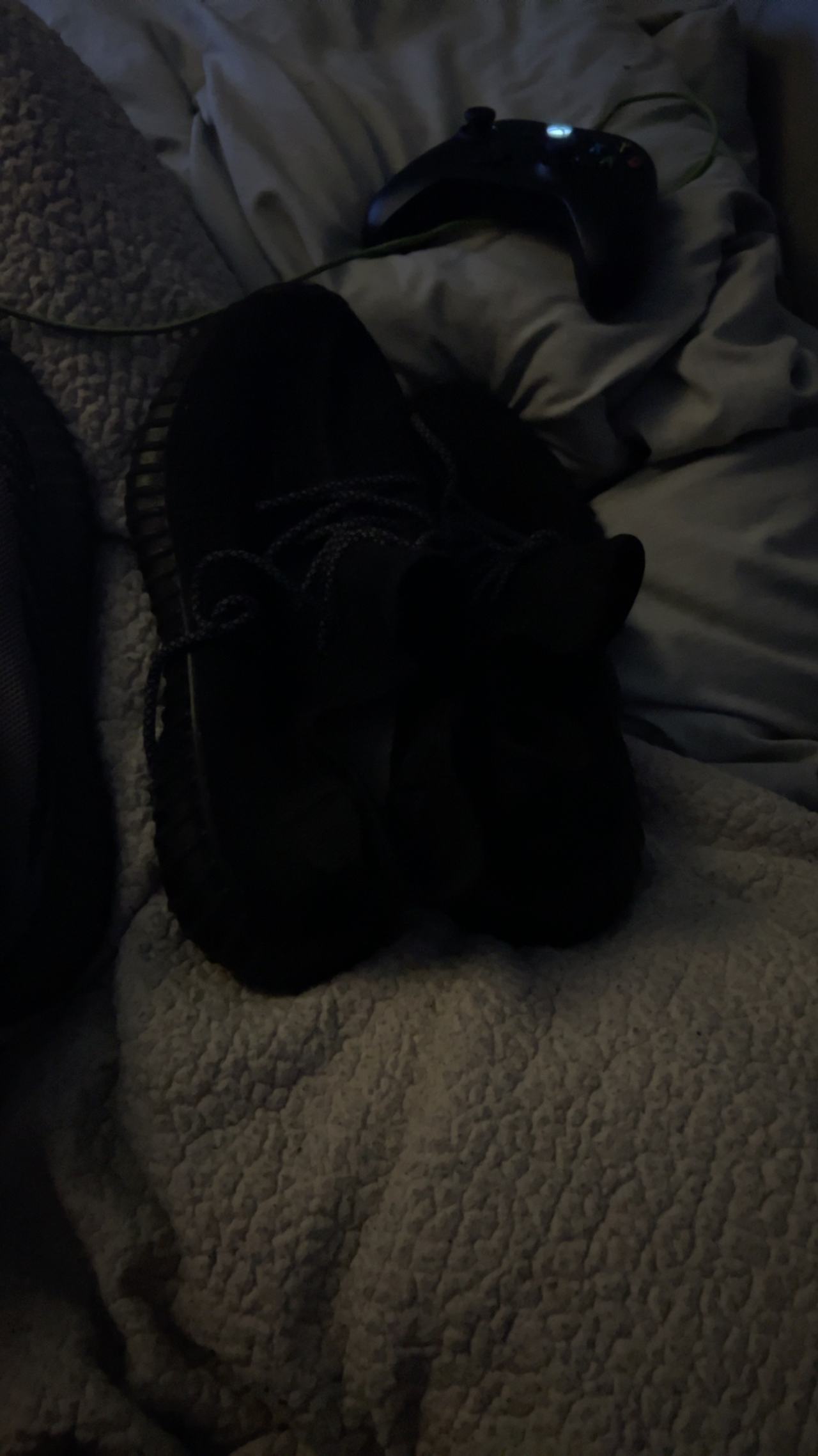 Adidas Yeezy Boost 350 V2