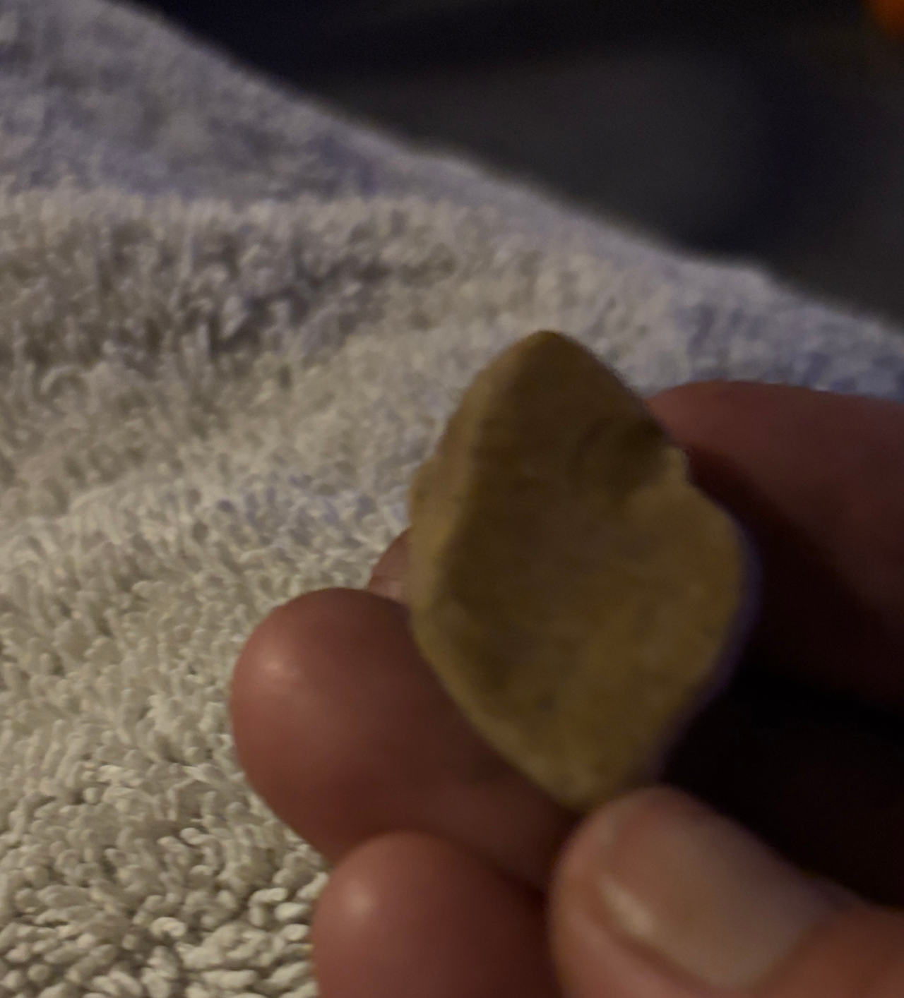 Stone Arrowhead or Artifact