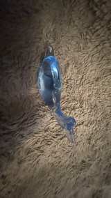 Blue Glass Dolphin Figurine - Image 5