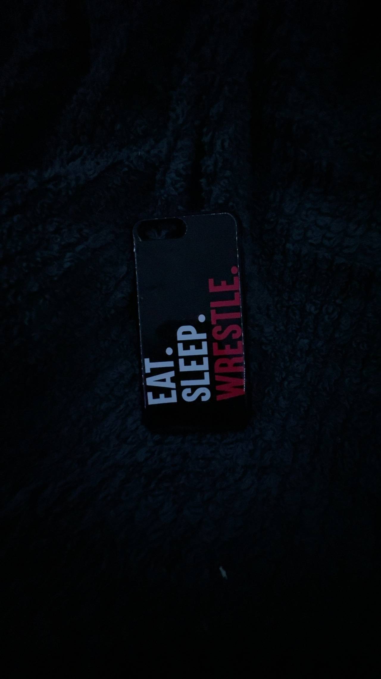Apple iPhone Case Eat Sleep Wrestle Repeat