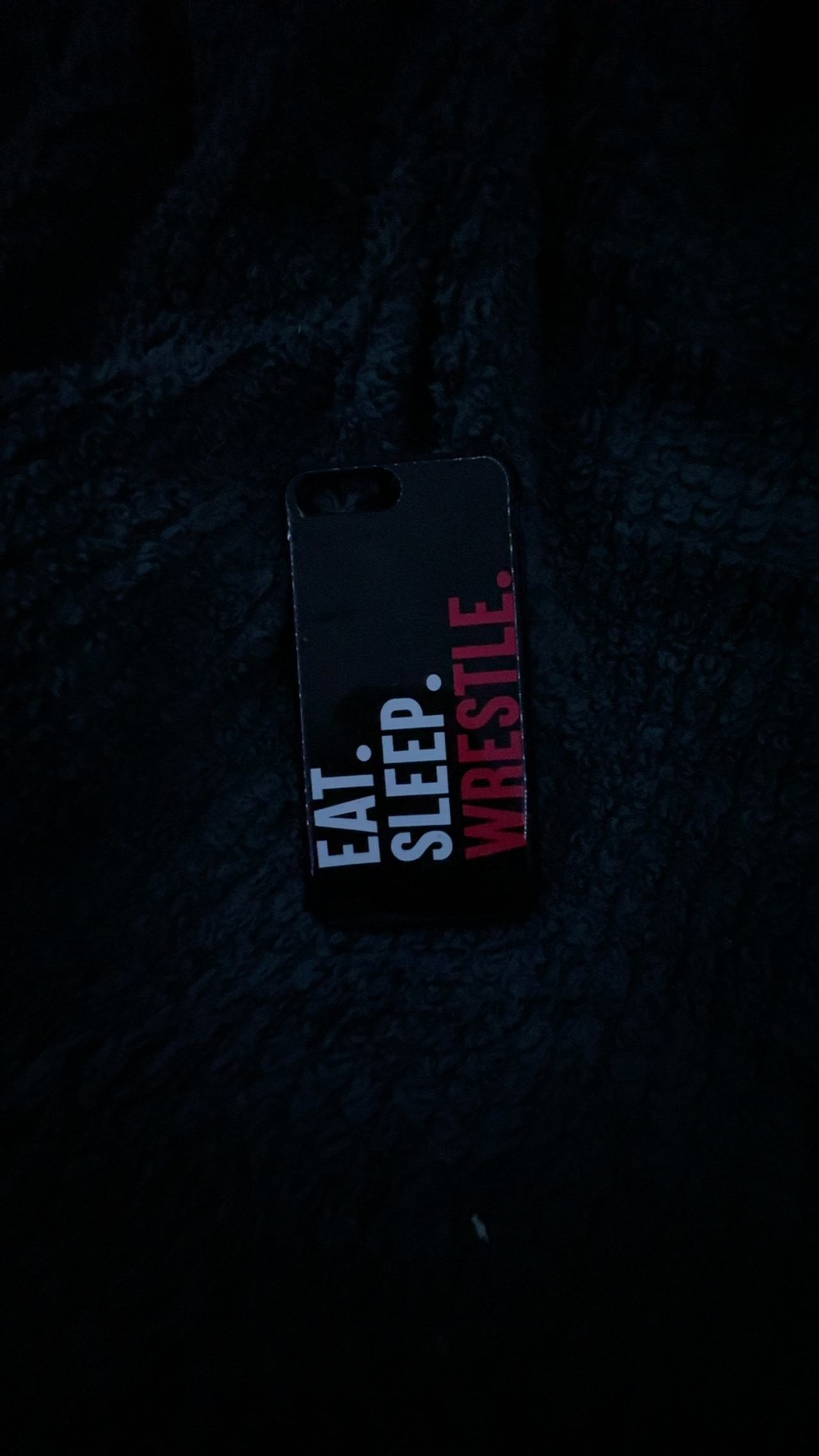 Apple iPhone Case Eat Sleep Wrestle Repeat