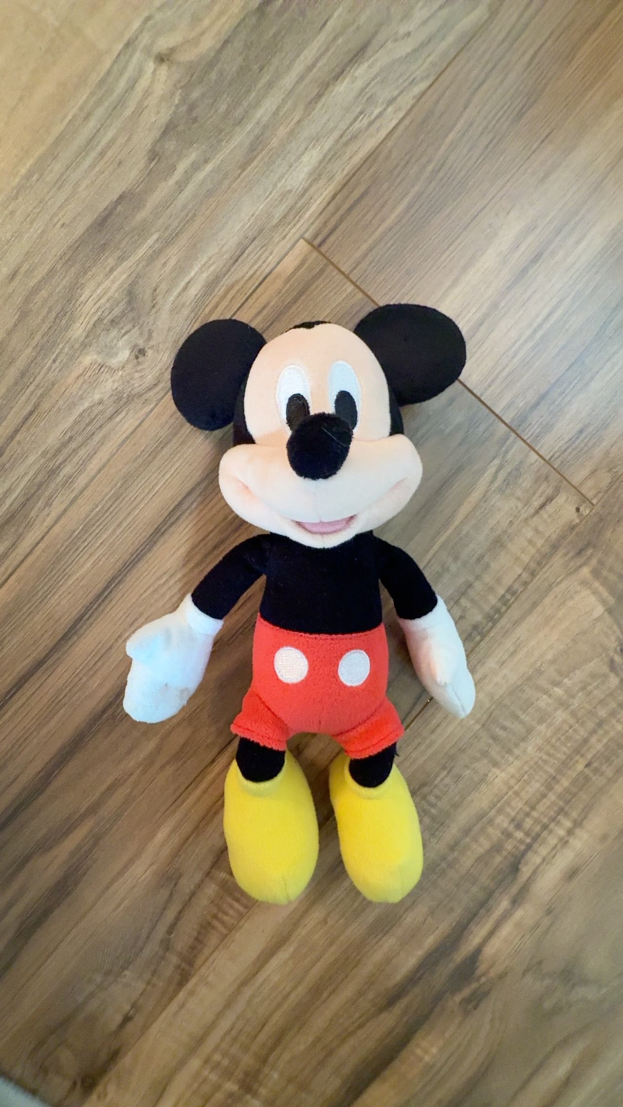 Disney Mickey Mouse Small Plush Toy