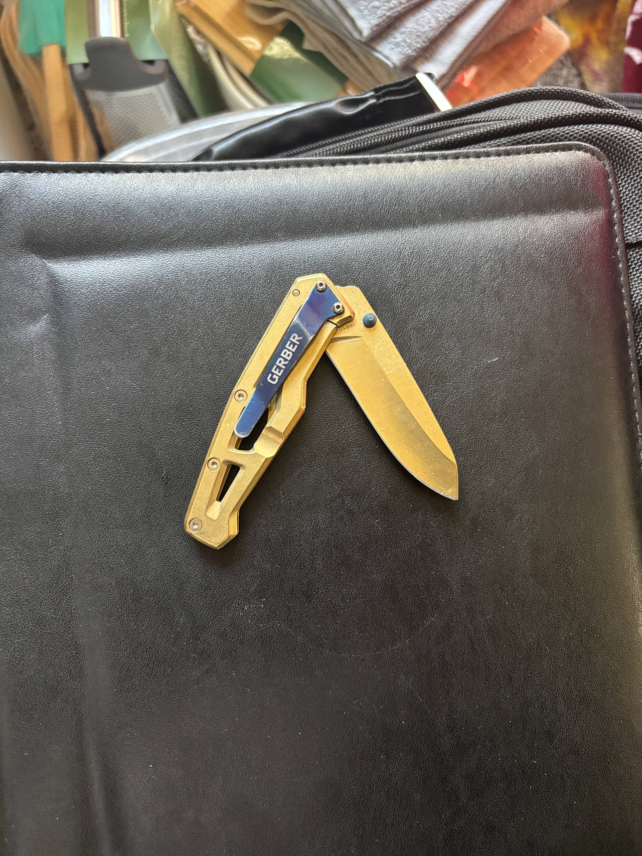Gerber Paraframe Mini