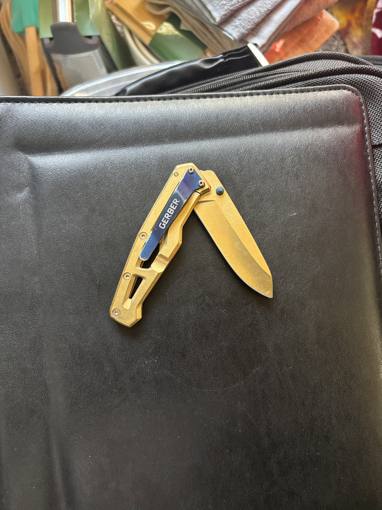 Gerber Paraframe Mini