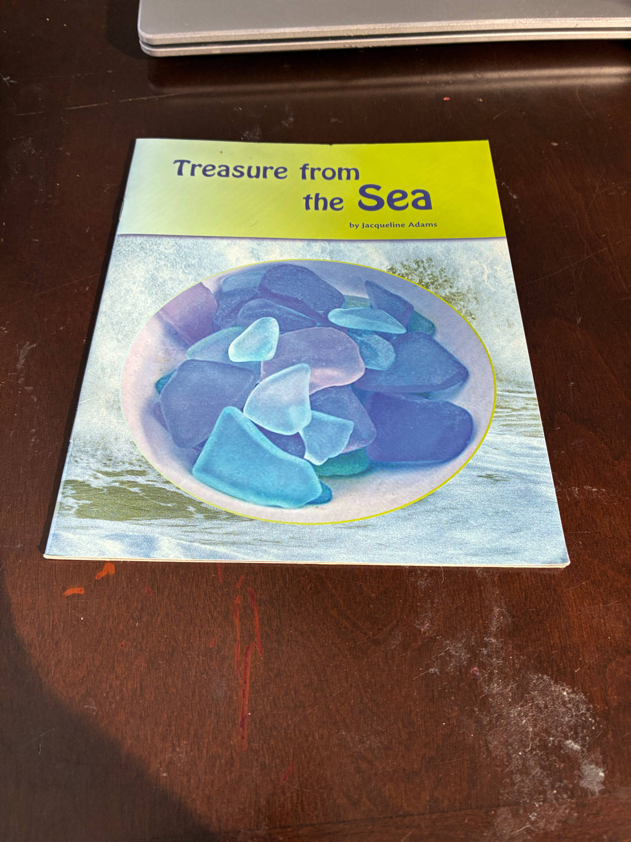 Treasure from the Sea by Jacqueline Adams