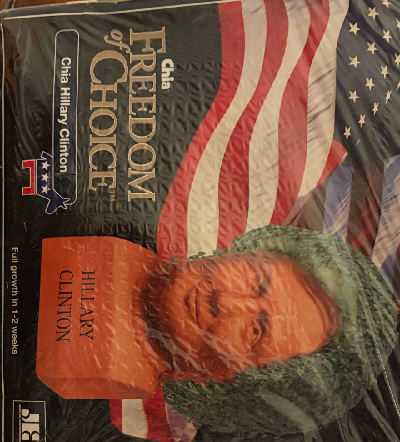 Chia Hillary Clinton Freedom of Choice Planter