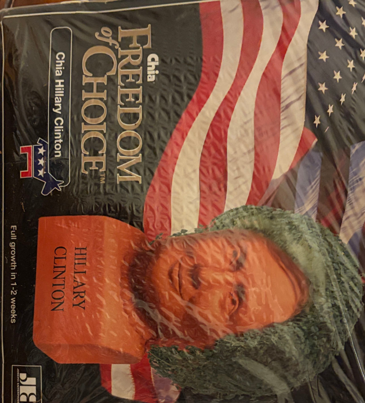 Chia Hillary Clinton Freedom of Choice Planter