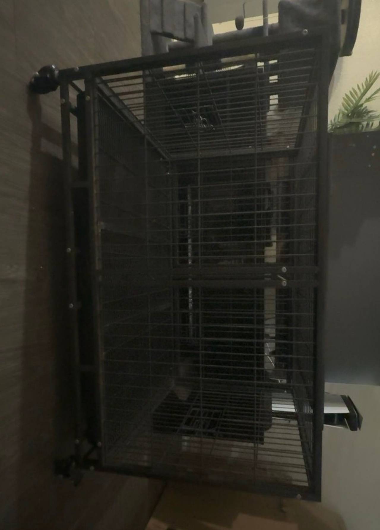 Prevue Hendryx Deluxe Critter Cage