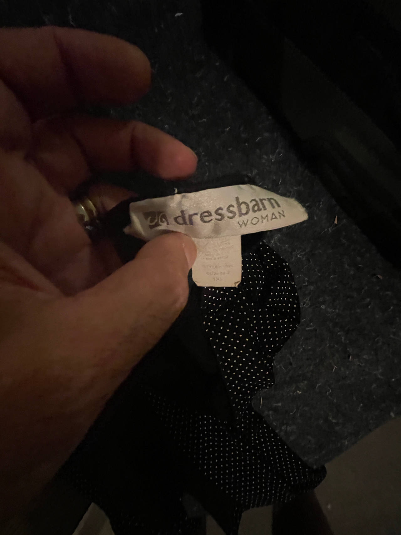 Dressbarn Woman Dress