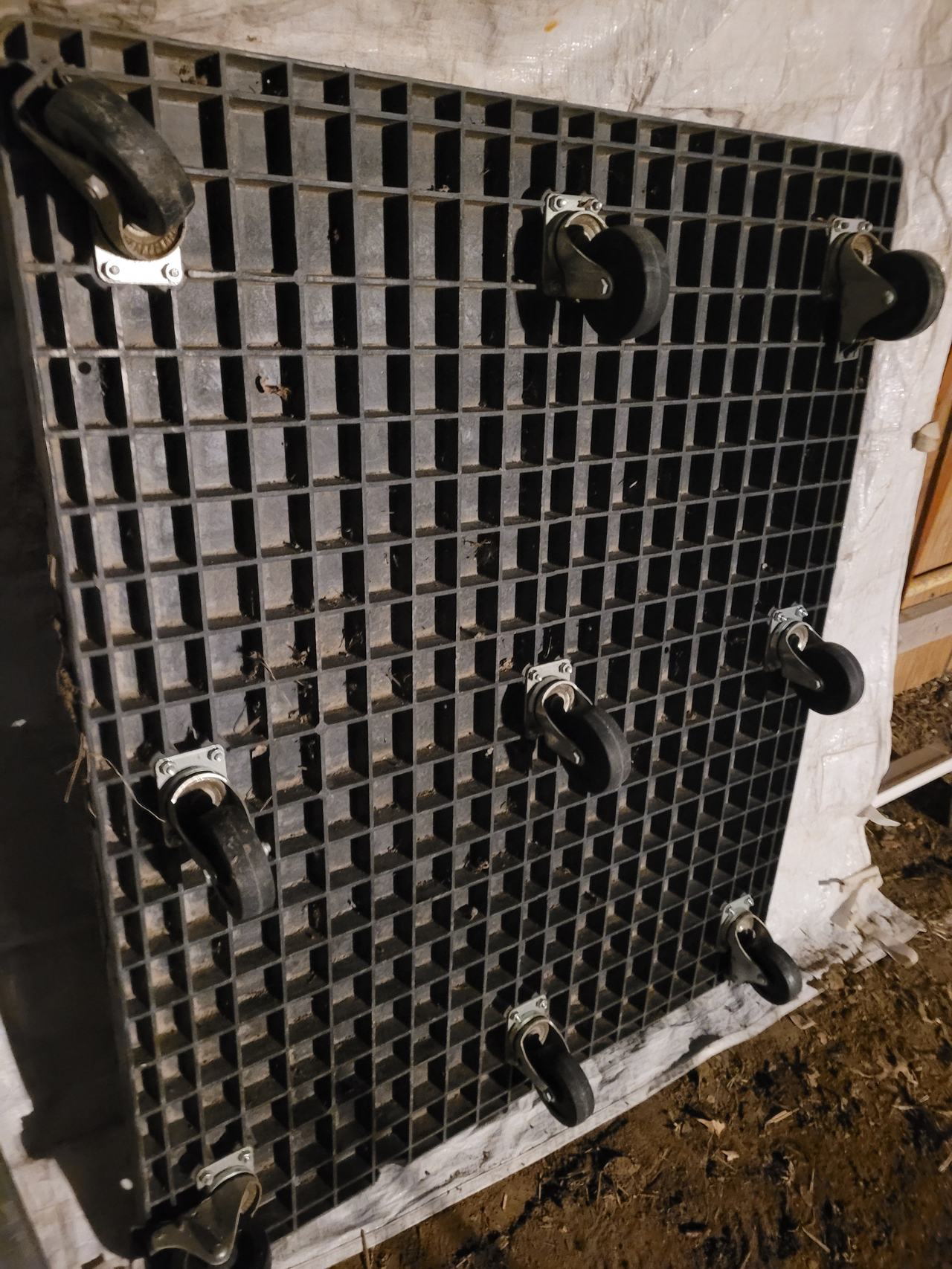 Heavy Duty Plastic Rolling Dolly with 8 Casters