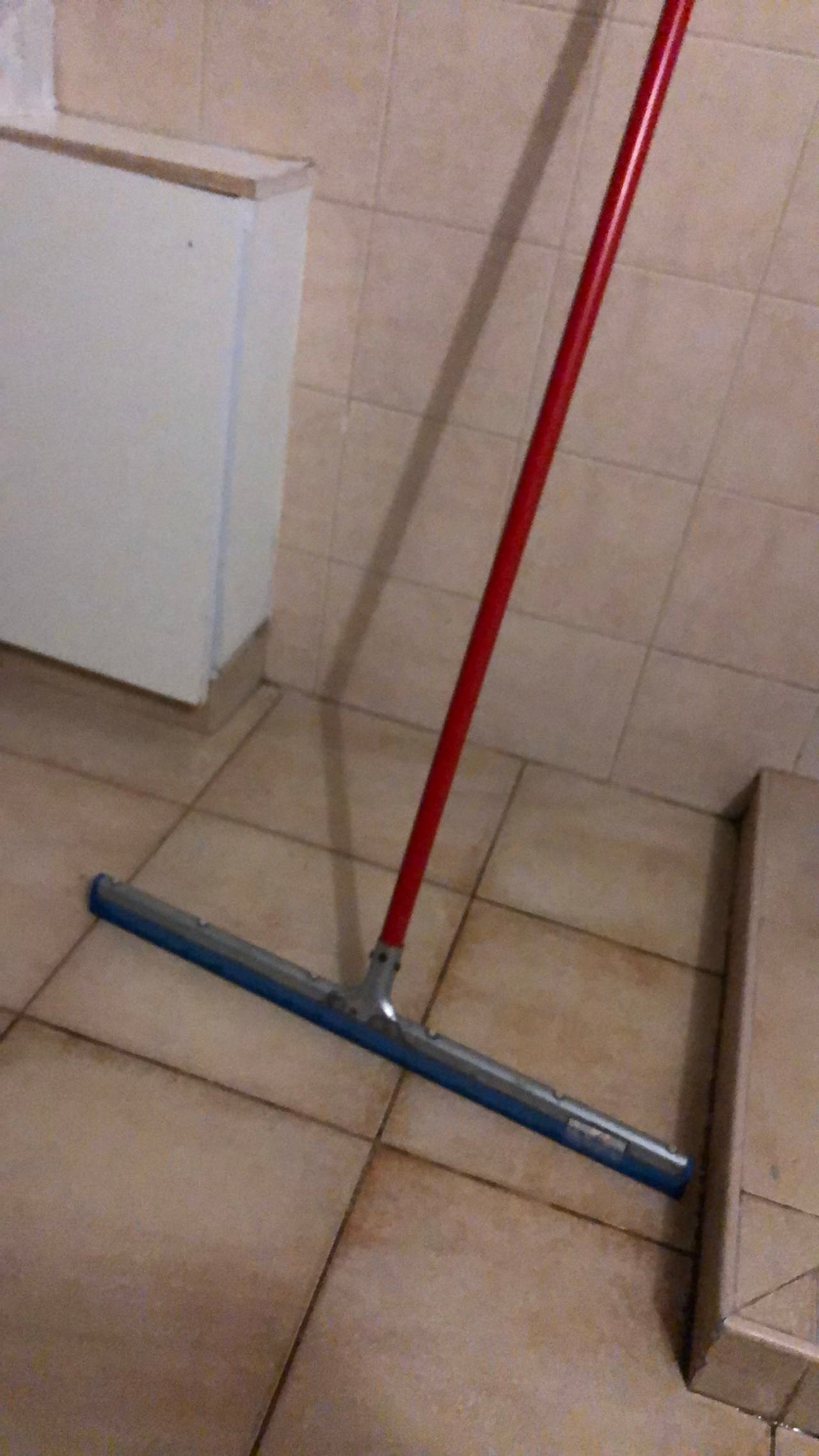 Floor Squeegee