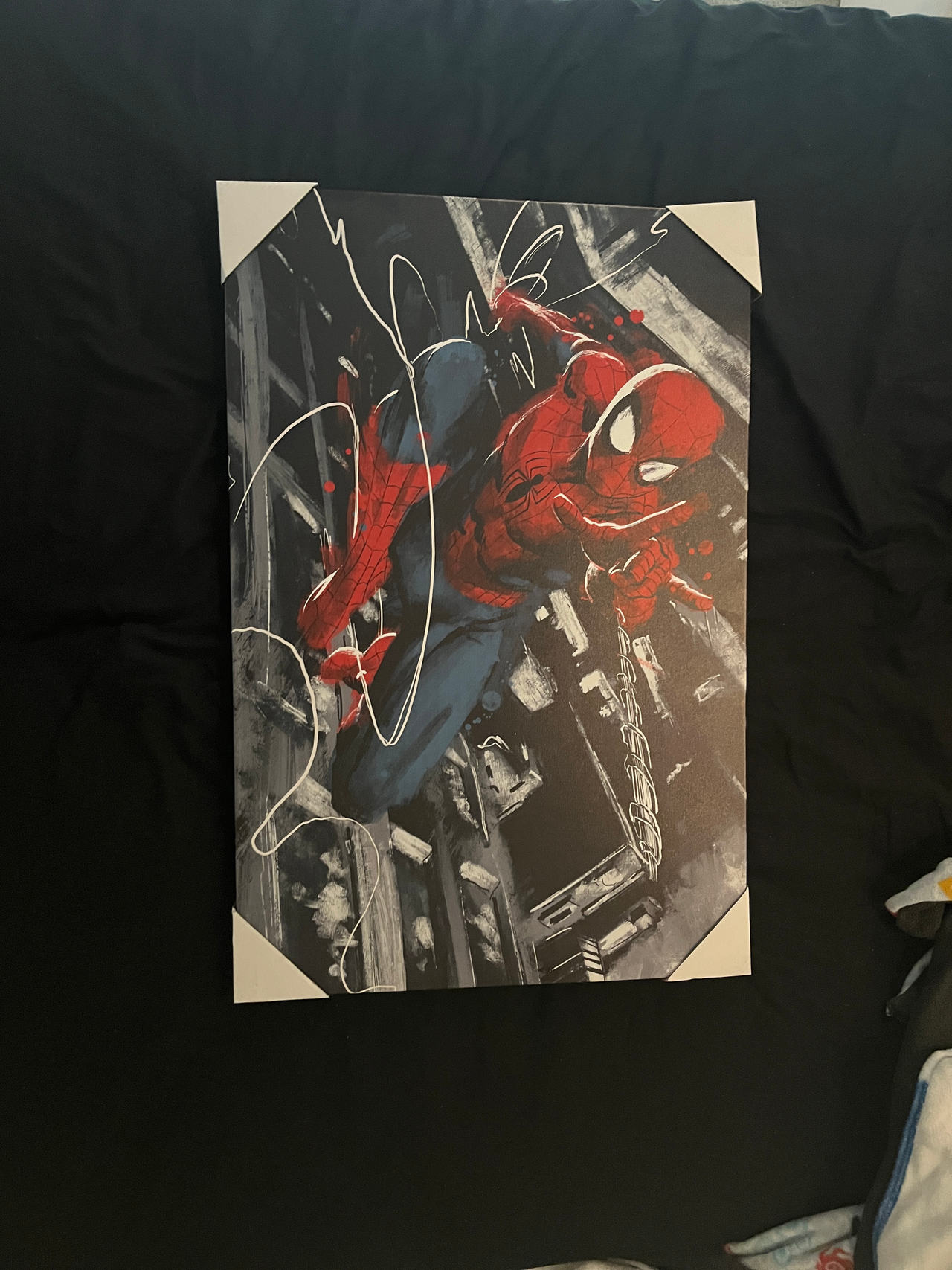 Spider-Man Canvas Wall Art