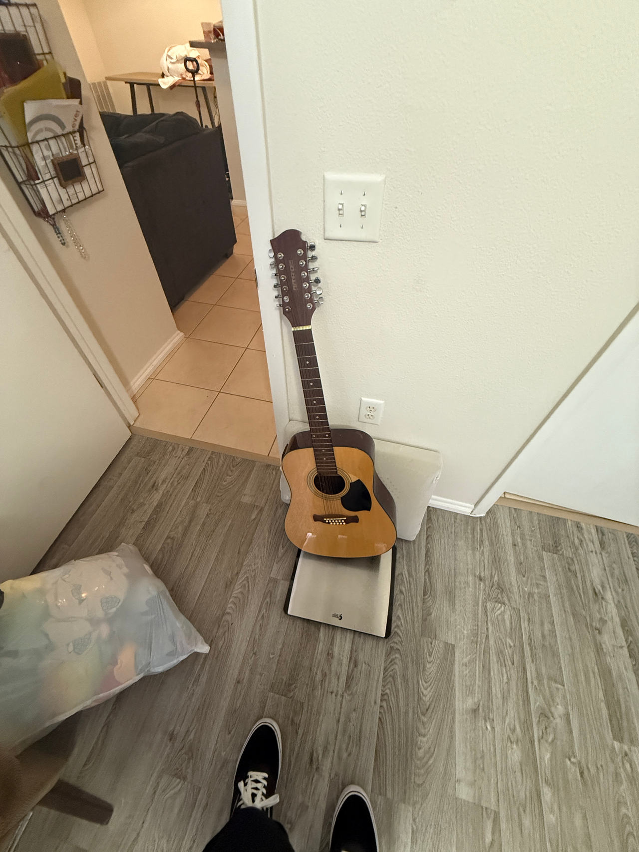 12-String Acoustic Guitar