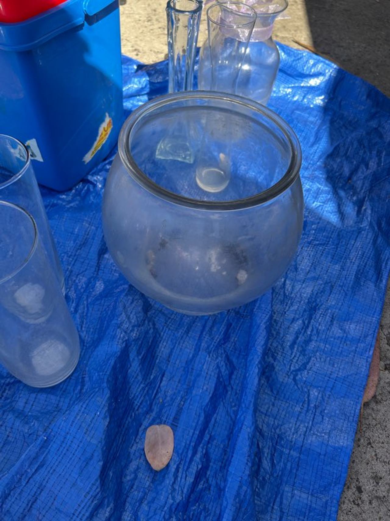 Glass Fish Bowl