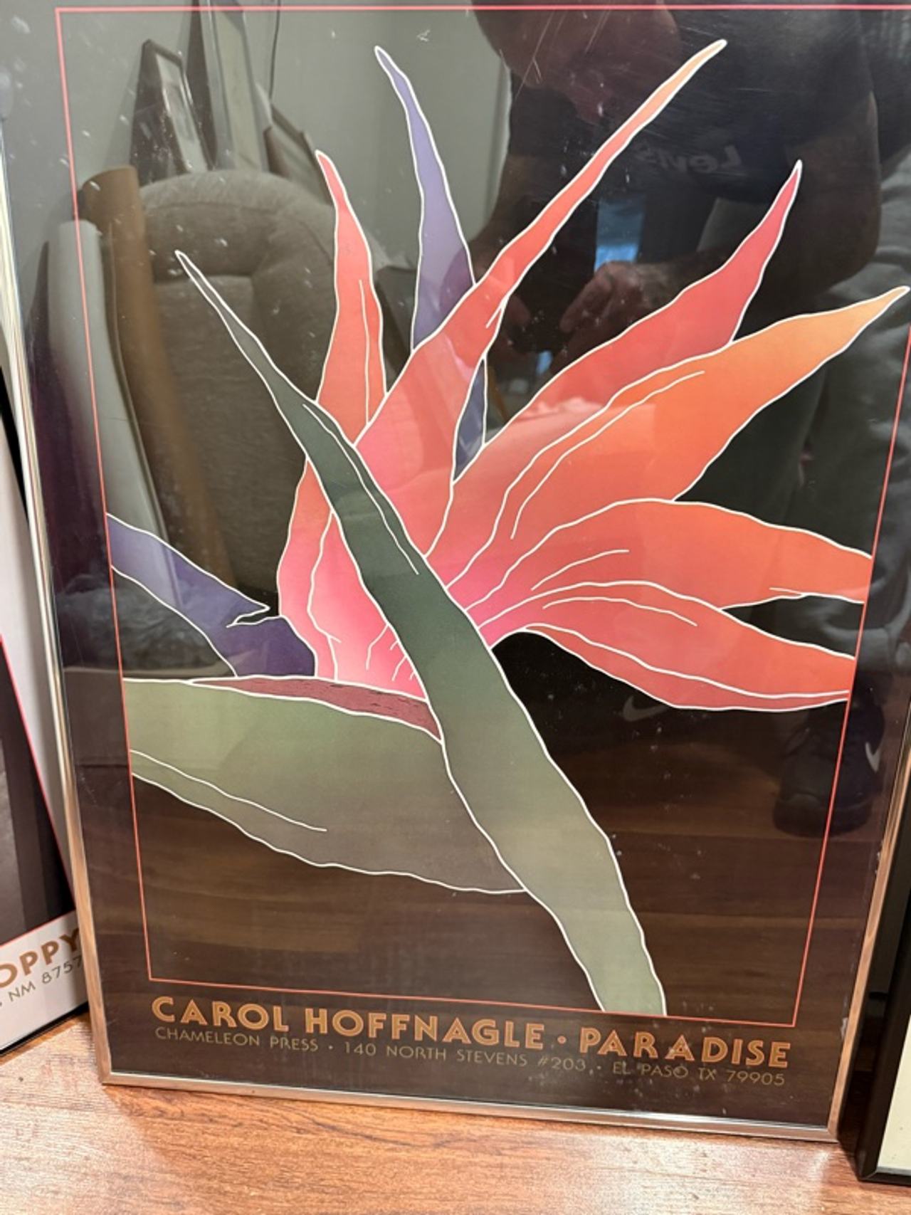 Carol Hoffnagle Birds of Paradise Vintage Poster