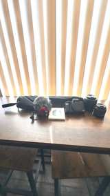 Canon EOS M50 Mirrorless Camera Bundle - Image 1