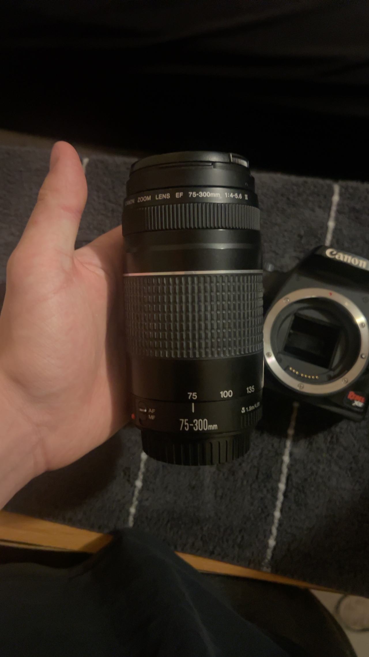 Canon EF 75-300mm f/4-5.6 III Telephoto Zoom Lens