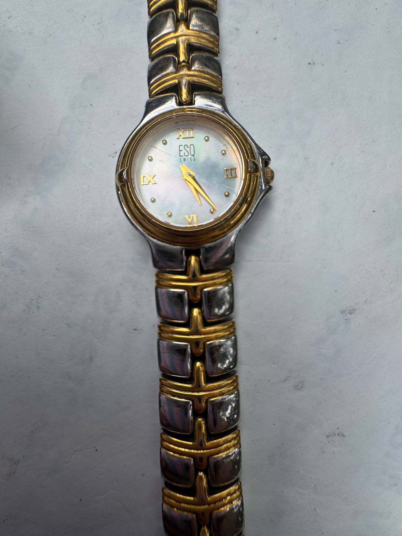 ESQ Swiss Watch