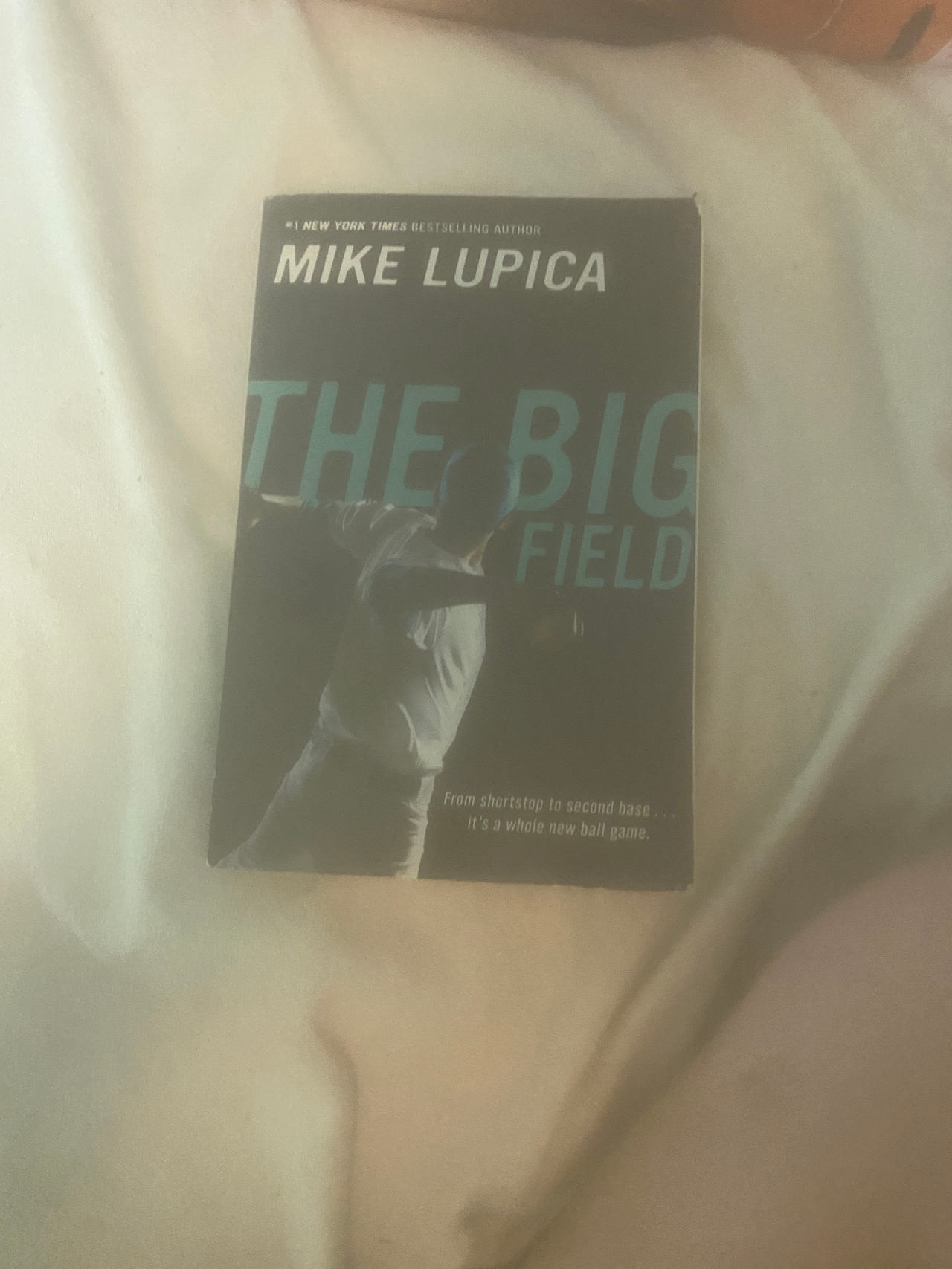 The Big Field