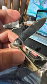 Case XX Stag Handle Pocket Knife - Image 5