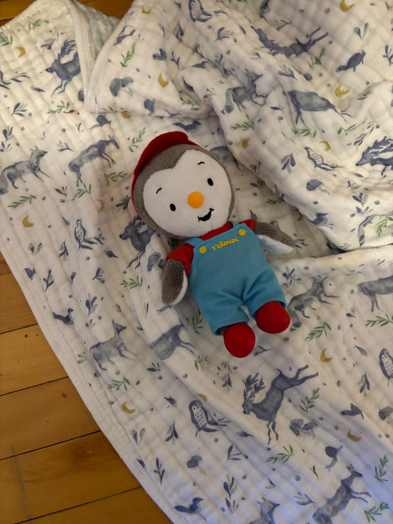 T'choupi Plush Doll