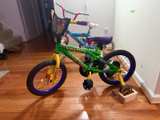 Dynacraft Teenage Mutant Ninja Turtles 16" Kids Bike - Dark Green - Image 1