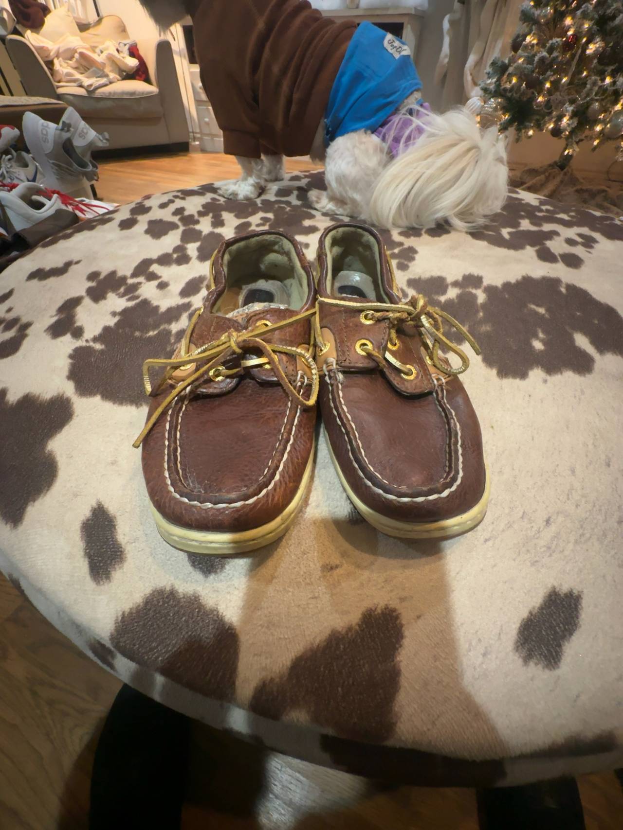 Sperry Top-Sider Women's Brown Boat Shoes 7.5M