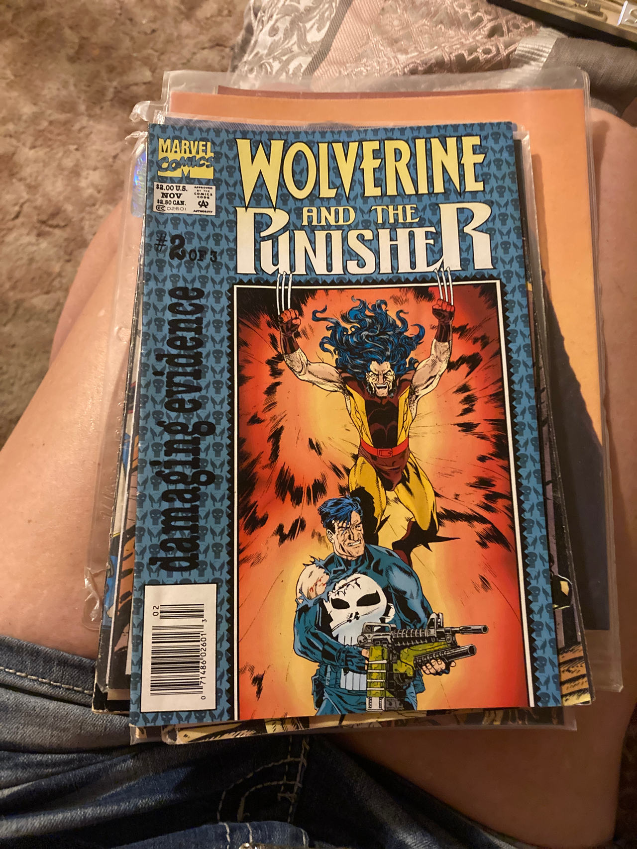 Wolverine and The Punisher: Damaging Evidence