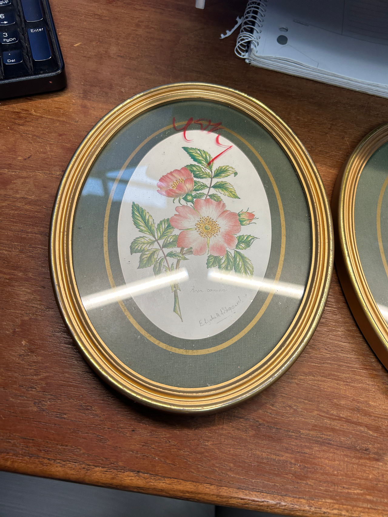 Vintage Botanical Floral Print in Oval Frame