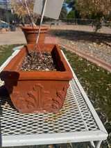 Terracotta Rectangular Planter - Image 2