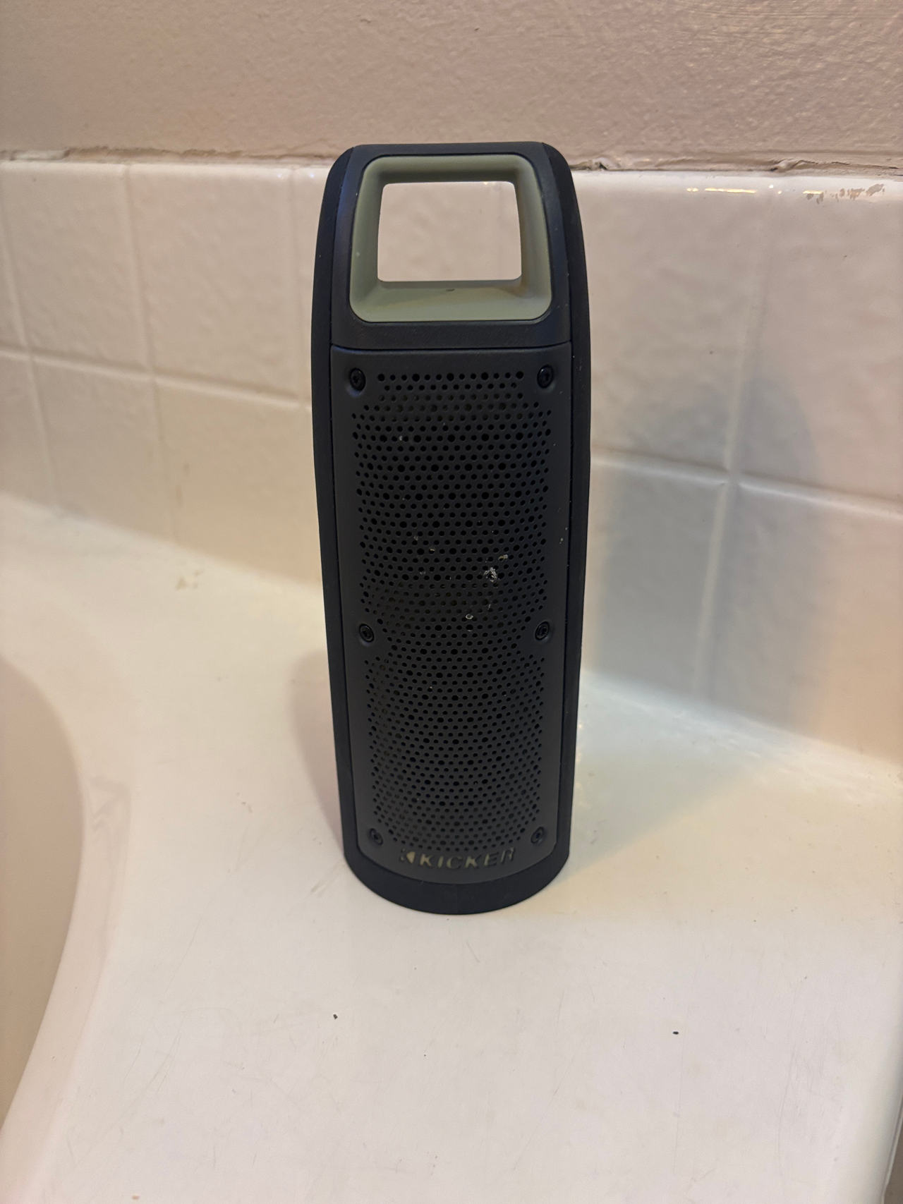 Kicker Bullfrog BF100 Bluetooth Speaker