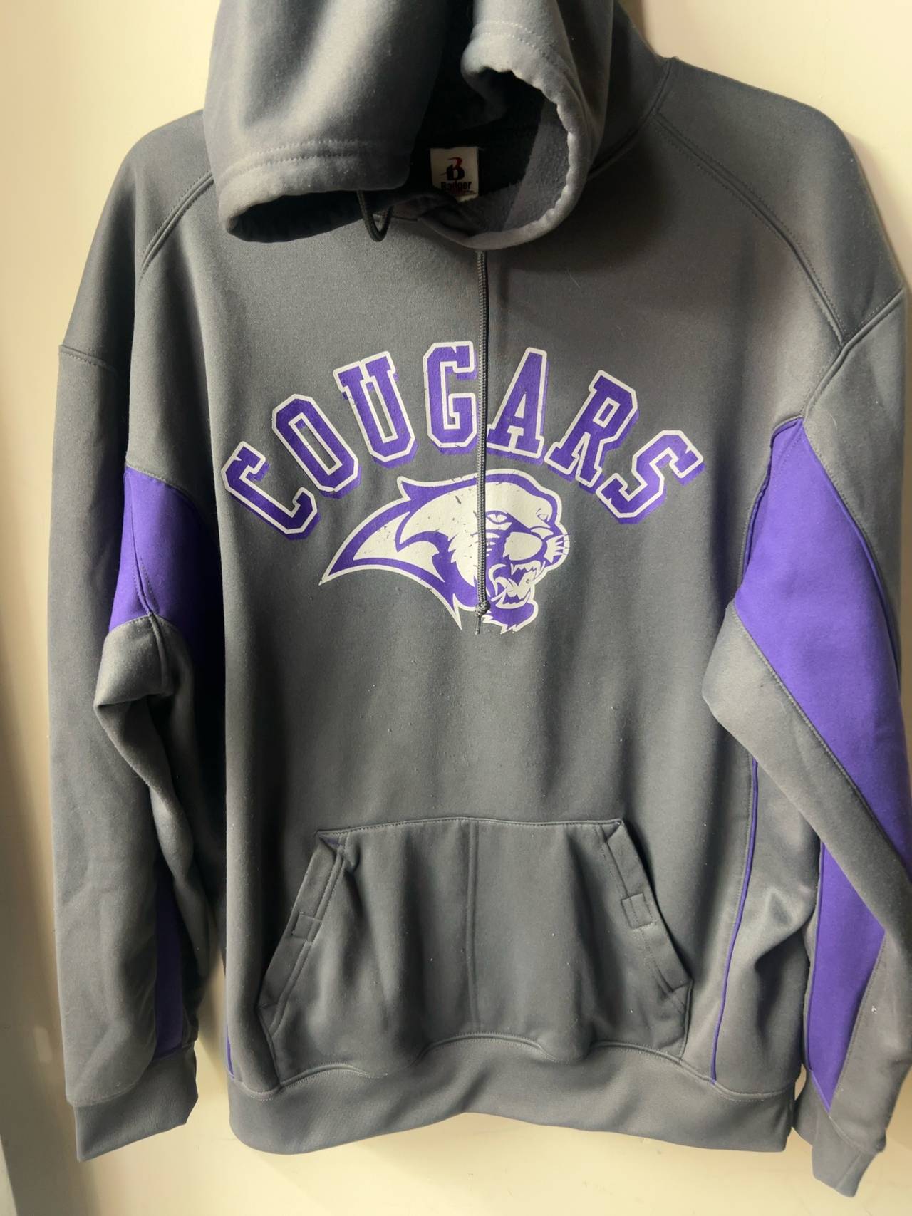 Russell Athletic University of Sioux Falls Cougars Hoodie