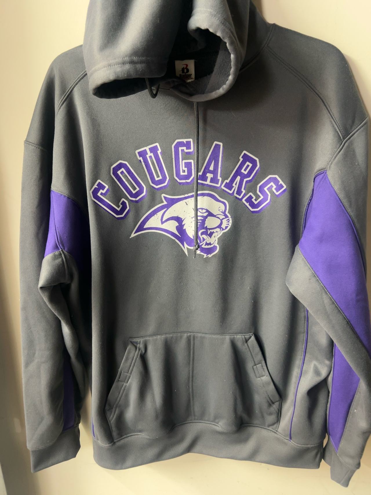 Russell Athletic University of Sioux Falls Cougars Hoodie