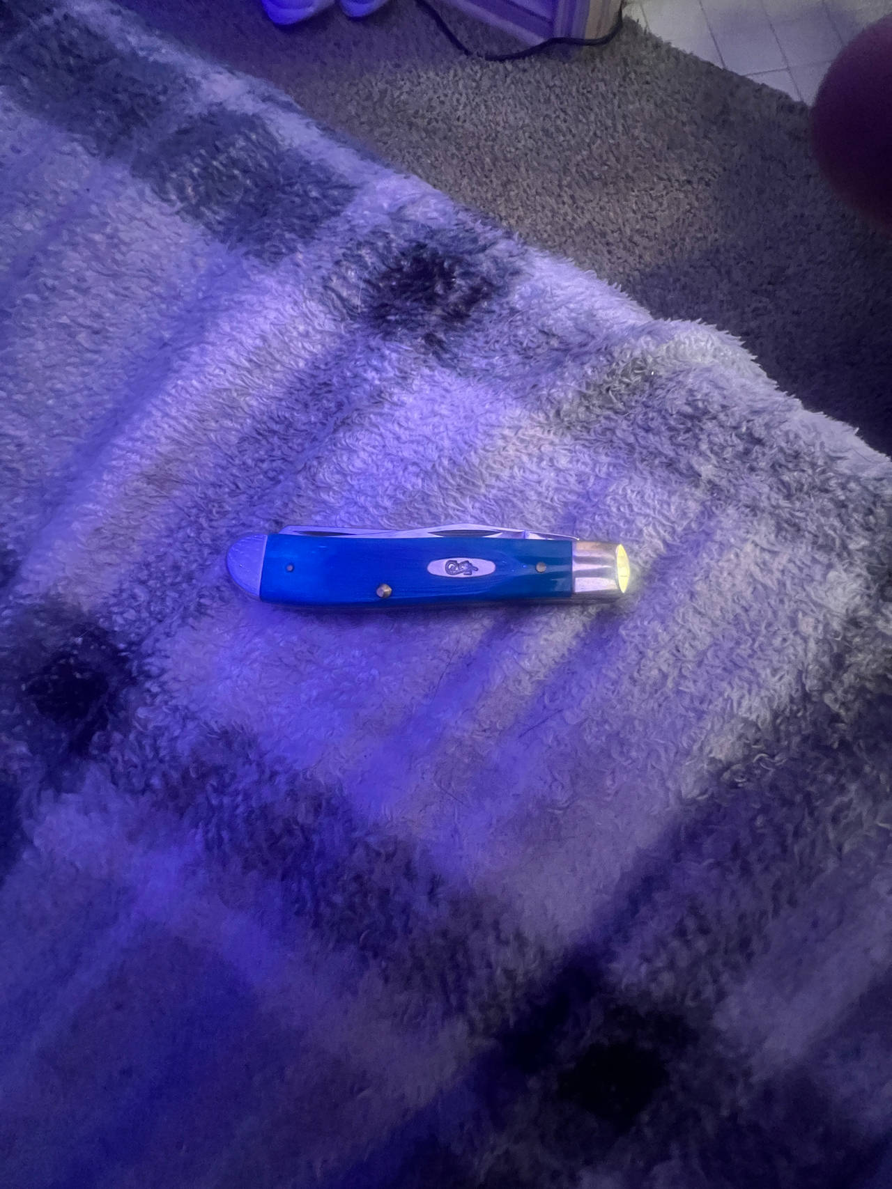 Case Pocket Knife