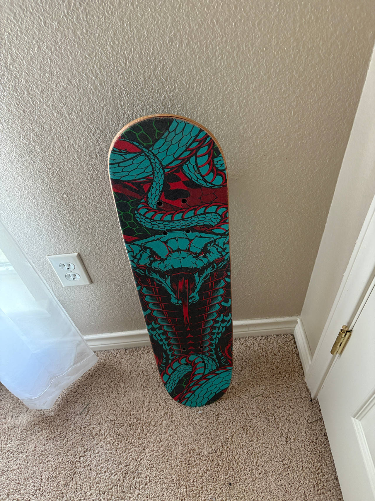 skateboard deck