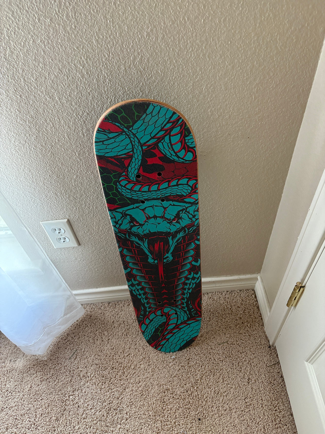 skateboard deck
