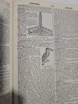 Webster's Collegiate Dictionary Fifth Edition - Image 1
