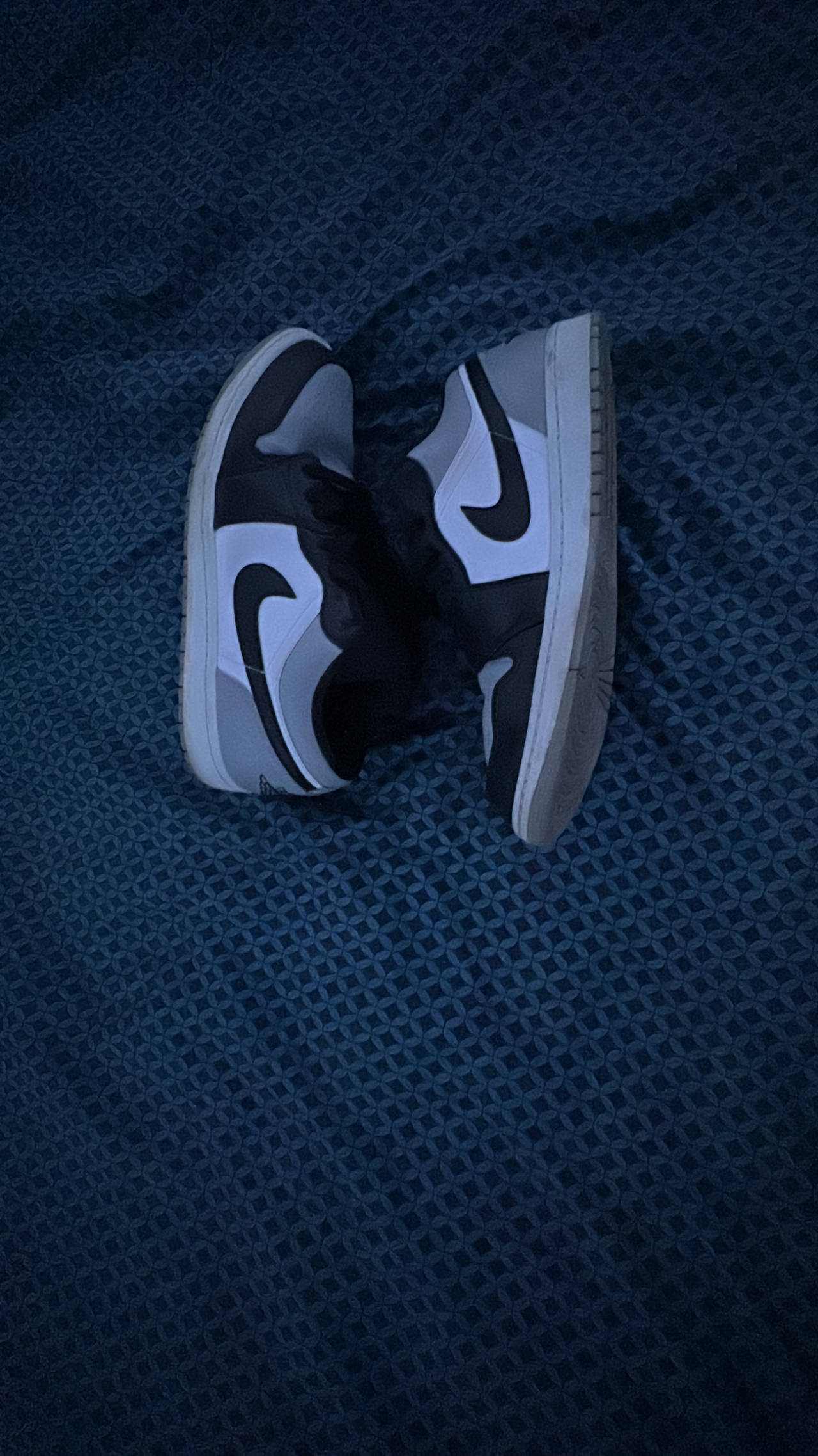 Air Jordan 1 Low Shadow Toe