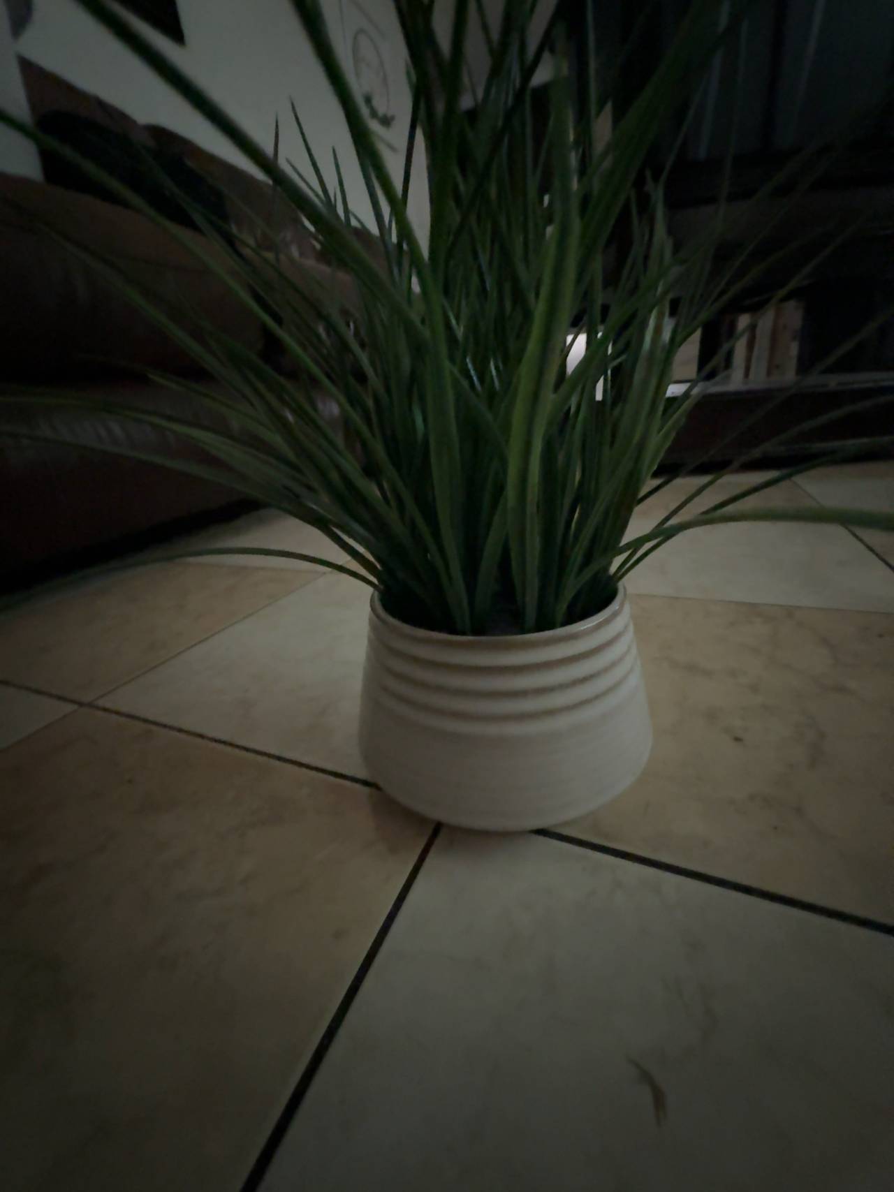 Artificial Grass Plant in White Ceramic Pot