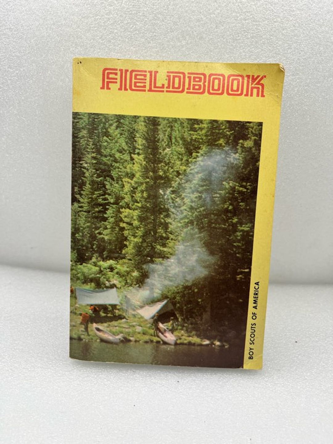 Boy Scouts of America Fieldbook Second Edition