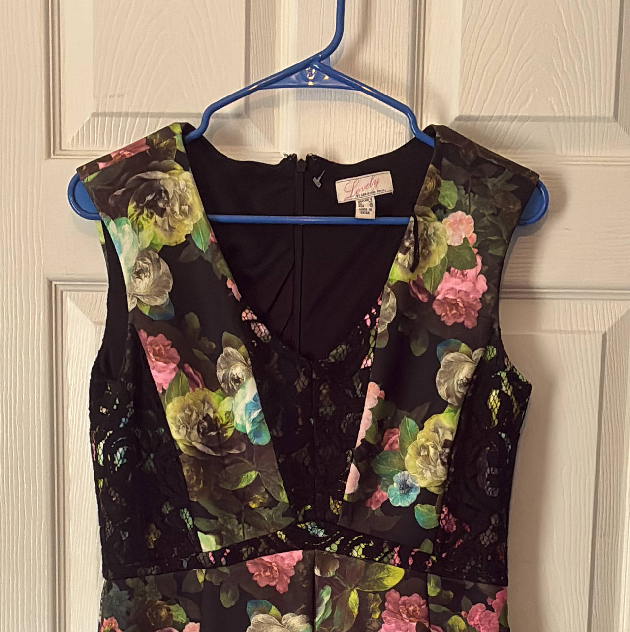 Lovely by Adrienne Vittadini Floral Lace Panel Dress