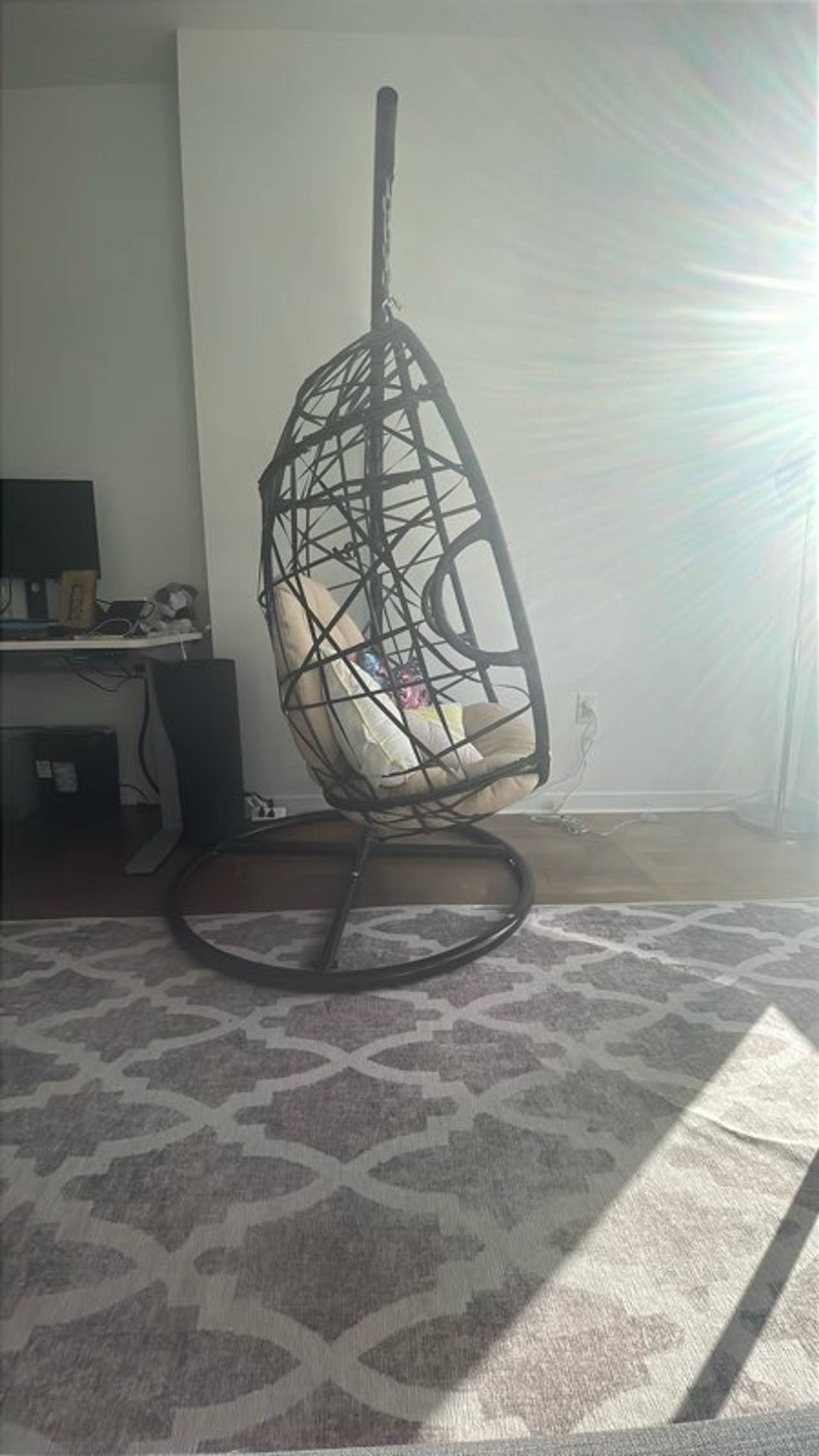Hanging Egg Chair