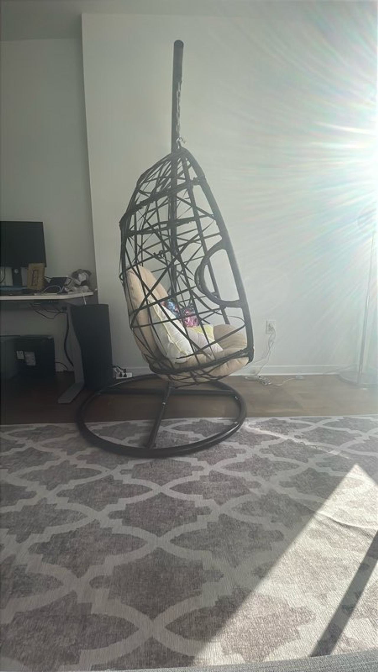 Hanging Egg Chair