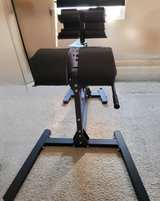 Titan Fitness Glute & Hamstring Developer (GHD) - Image 2